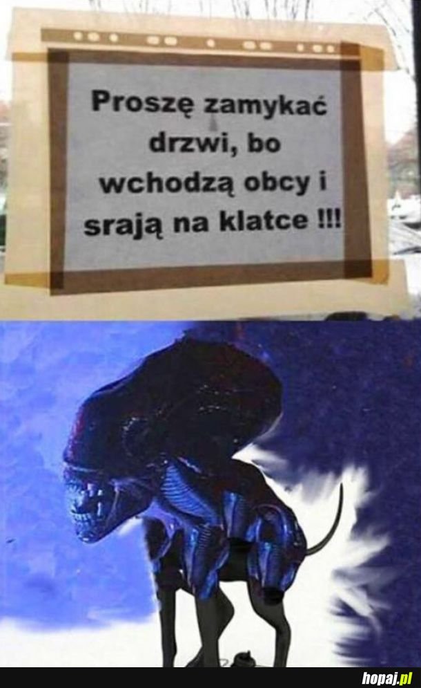 Zamykać drzwi