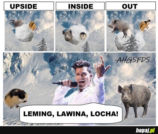 Leming, lawina, locha