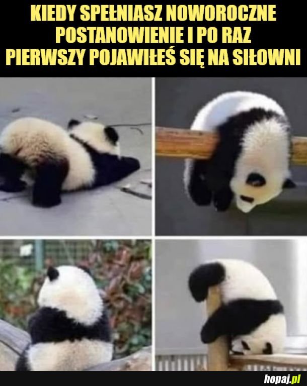 Siłownia.