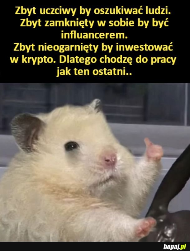 Zbyt uczciwy