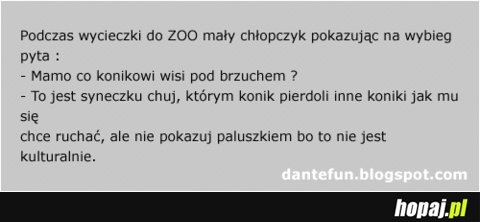 Podczas wycieczki do zoo...