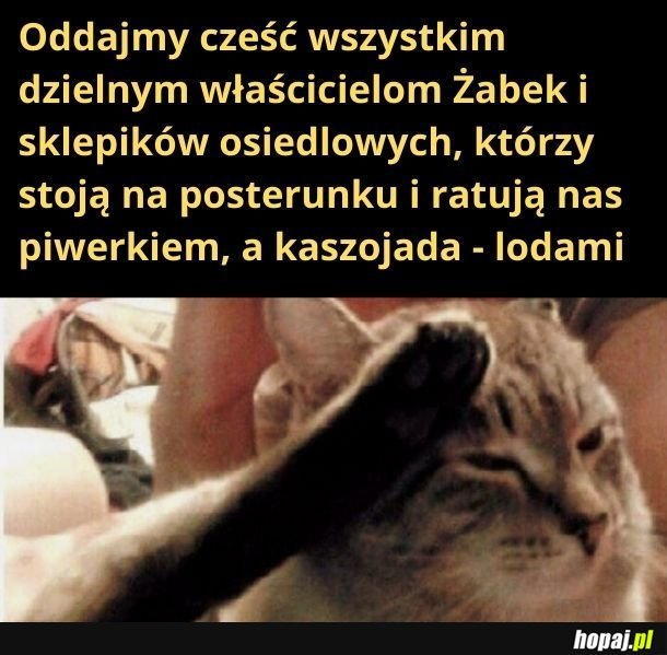 Dziękujemy!