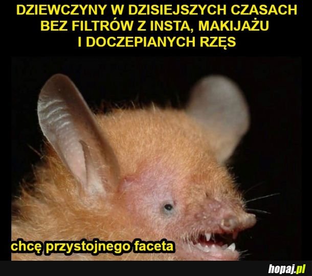 Dziewczyny