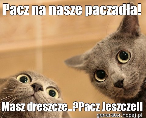 Pacz na nasze paczadła!