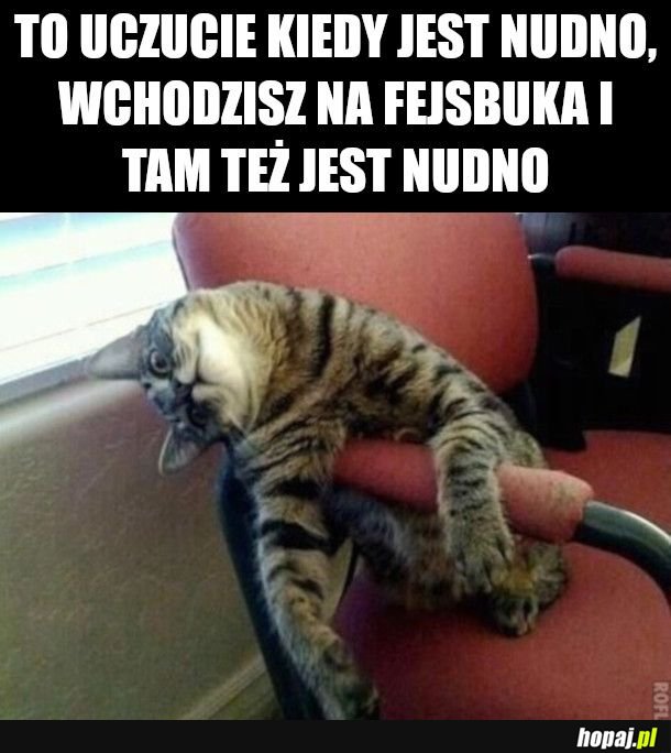 Nuuudyyy