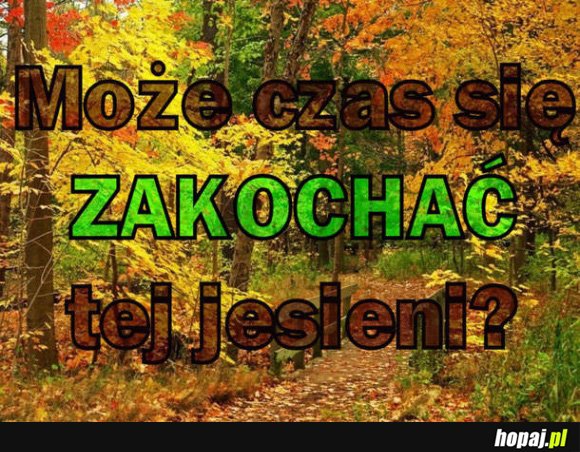 Może czas się zakochać?