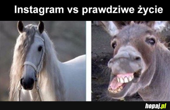 Insta vs life