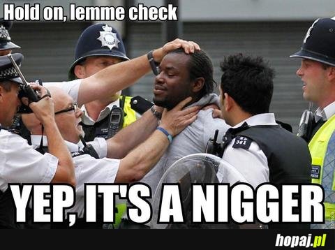 Nigger check