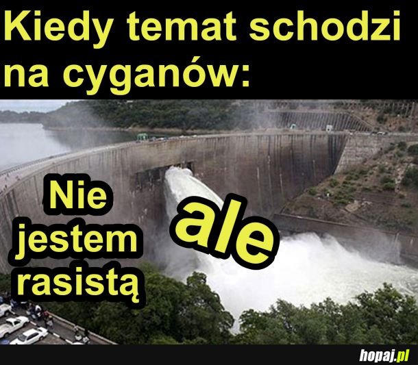 Nie jestem rasistą, aleee