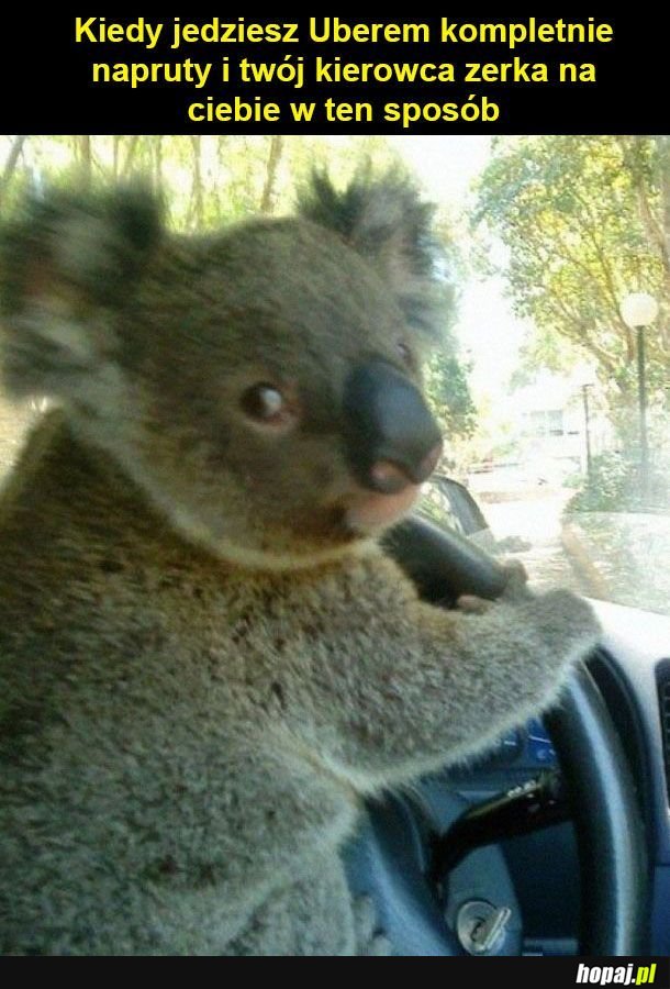 Uber