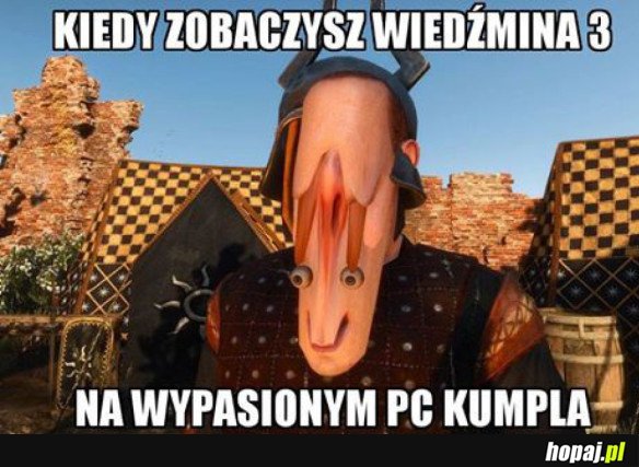 WIEDŹMIN