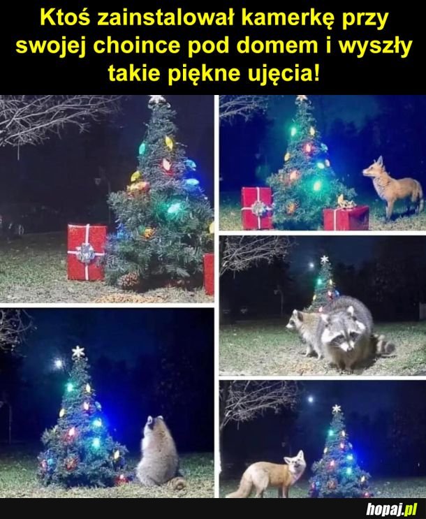 Ale świetne!