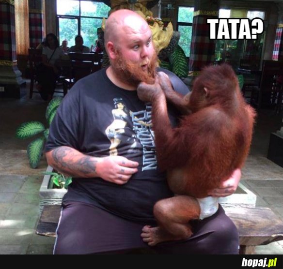Tata?