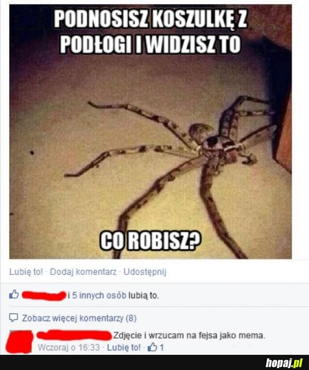  Co robisz 