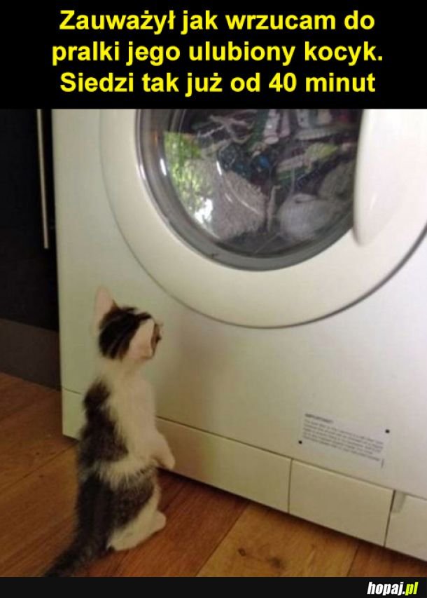 Oddaj kocyk
