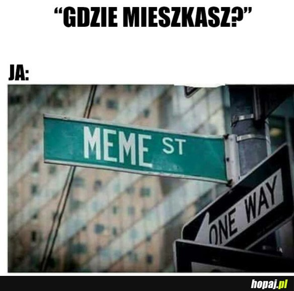 MEMY TO ŻYCIE!