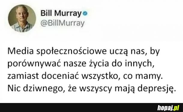 Bill Murray to mądry gość