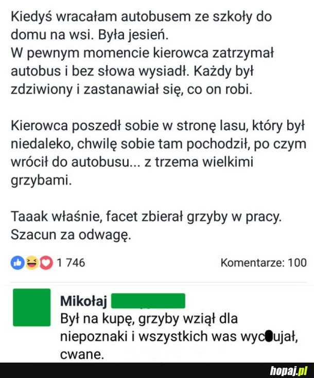 GRZYBY