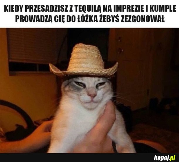 PRZEGIĘCIE Z TEQUILĄ