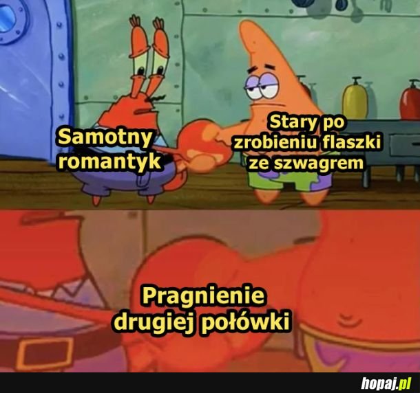 Druga połówka potrzebna od zaraz