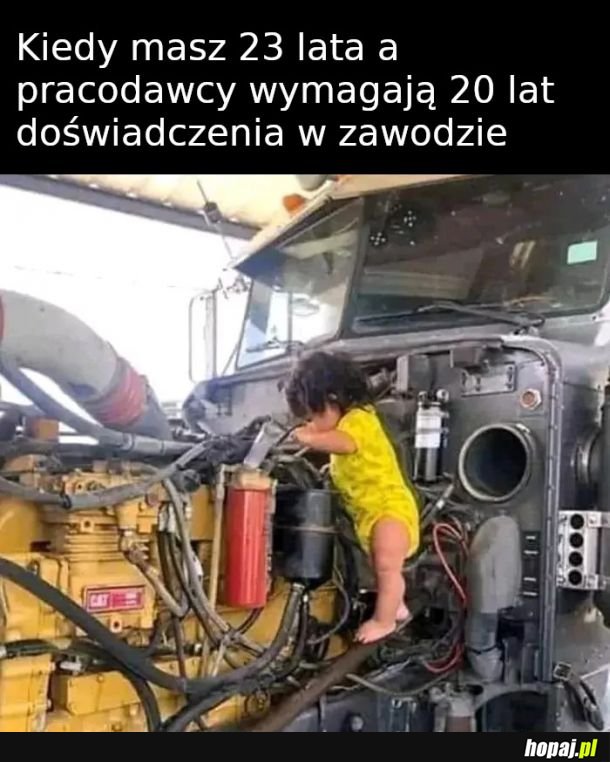 Pracodawca