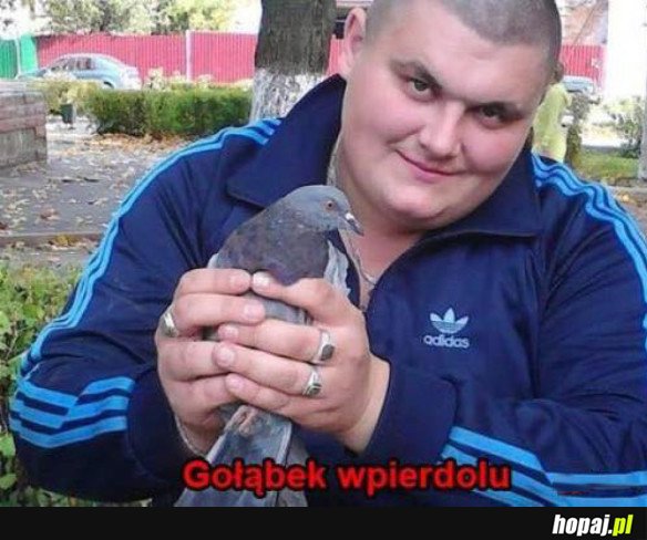 Przyjmiesz?