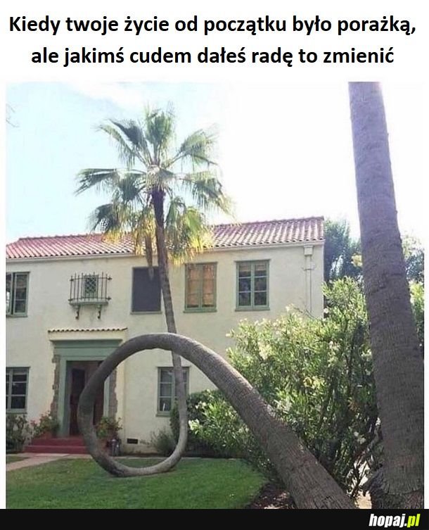 Jak się chce...