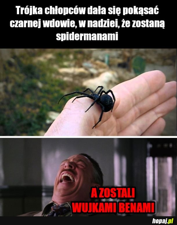 Jak zostać spidermanem