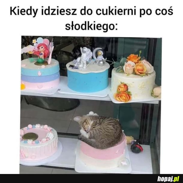 Słodycze