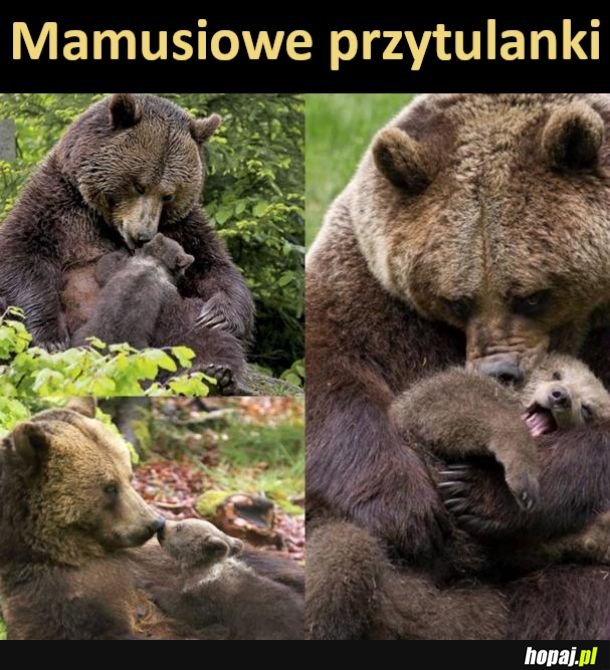 Nie ma jak u mamy