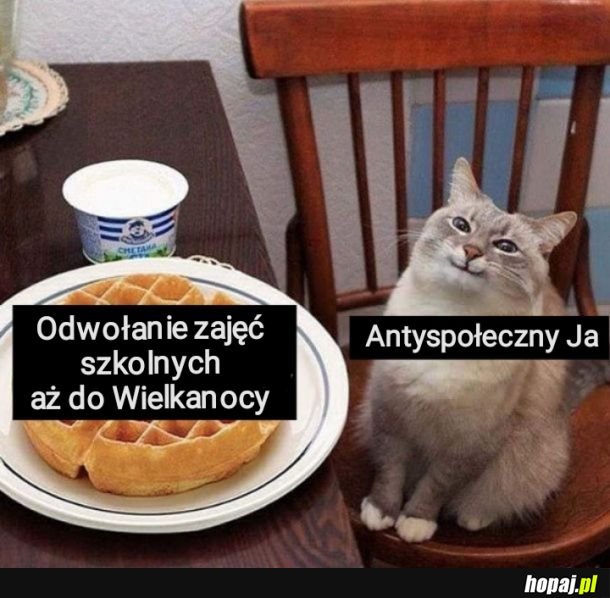 I jak tam ekstrawertycy psycha siada co