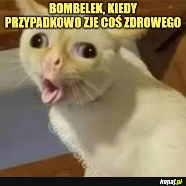 Bombelek. 