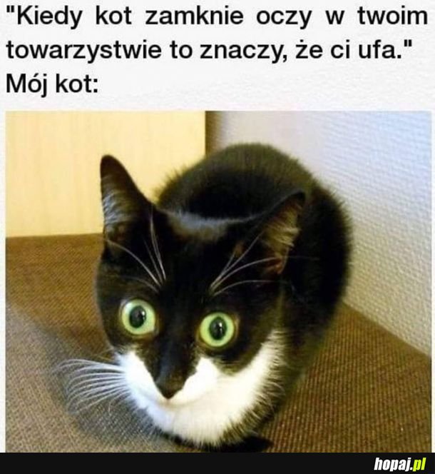  Jak żyć?