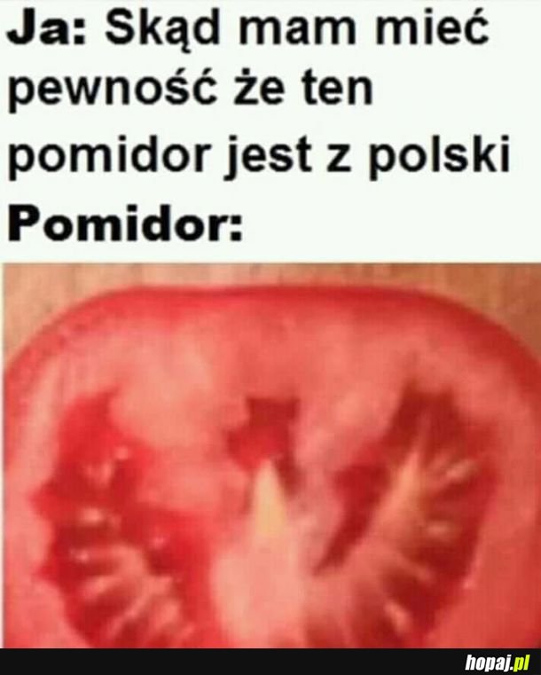 Pomidor 
