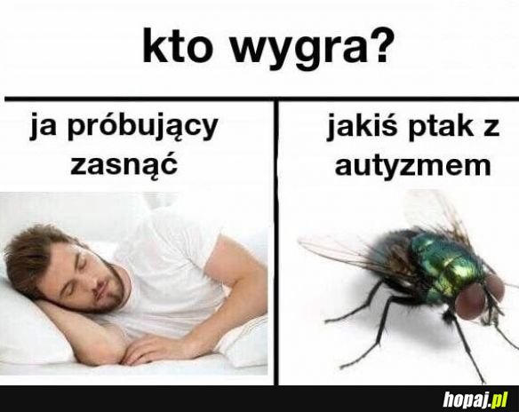 Kto wygra?