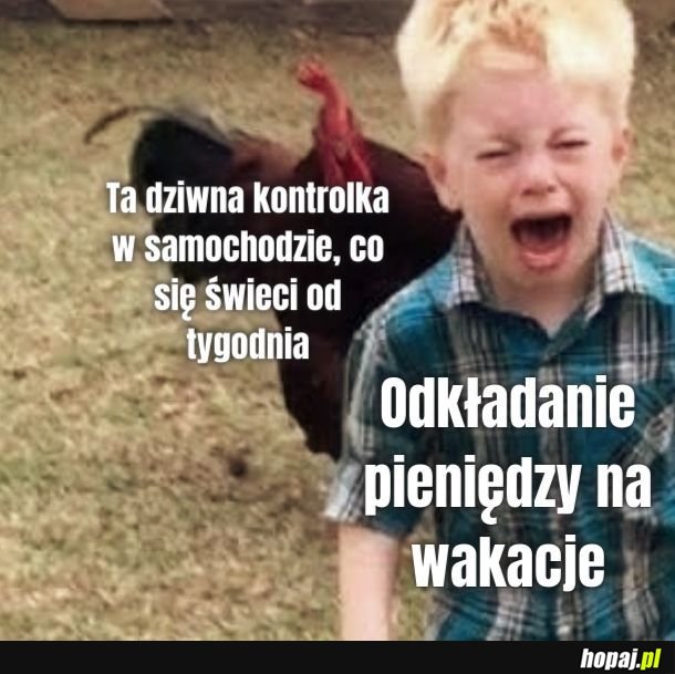 Czemu mi się sosjerka świeci?