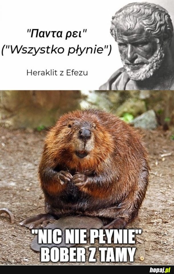 FiloZOOfia