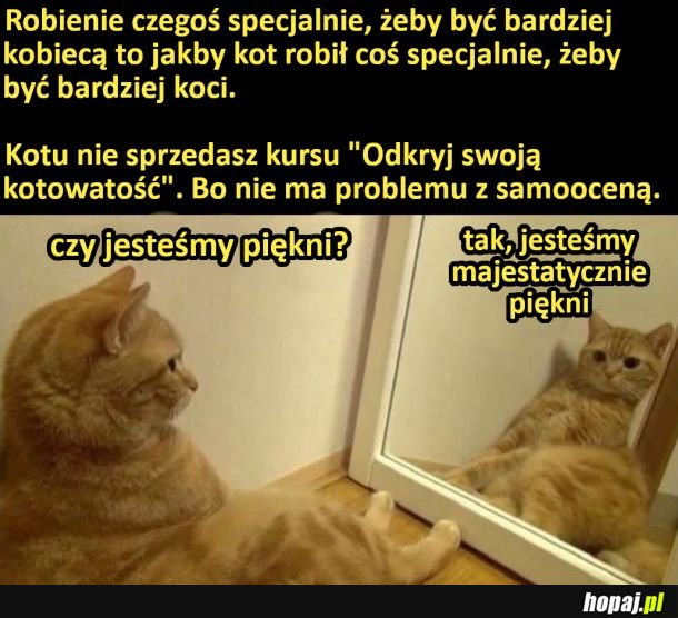 Majestatyczna piękność
