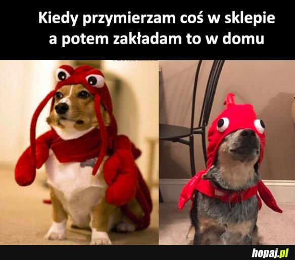 Jak to się stało