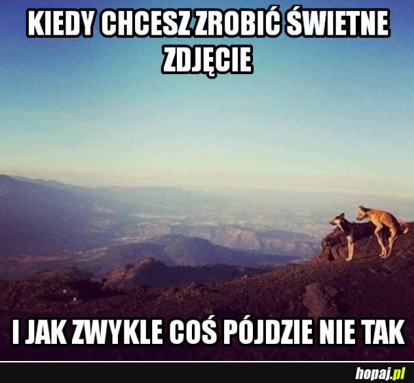 IDEALNE ZDJĘCIE