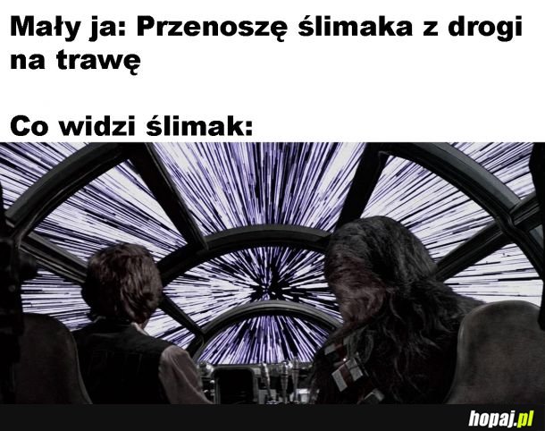 Ślimak