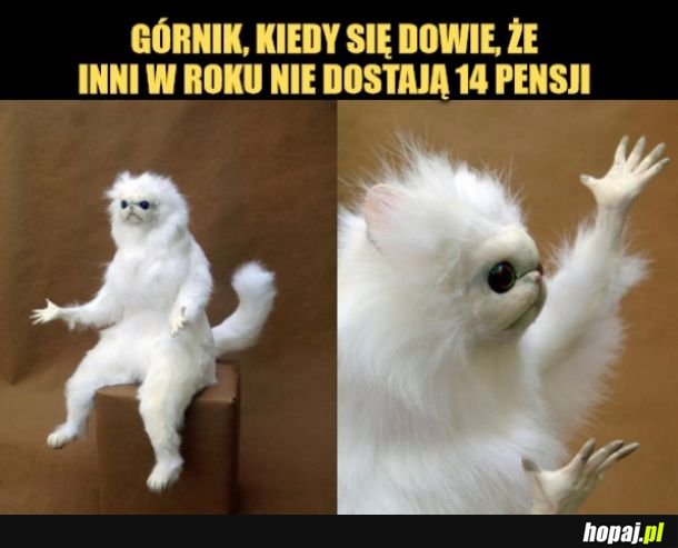 Jak Wy żyjecie?