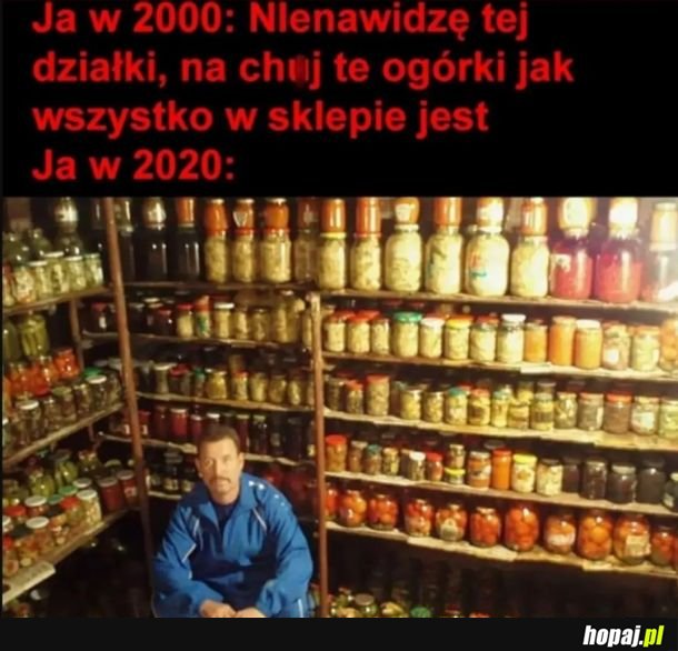 Działka