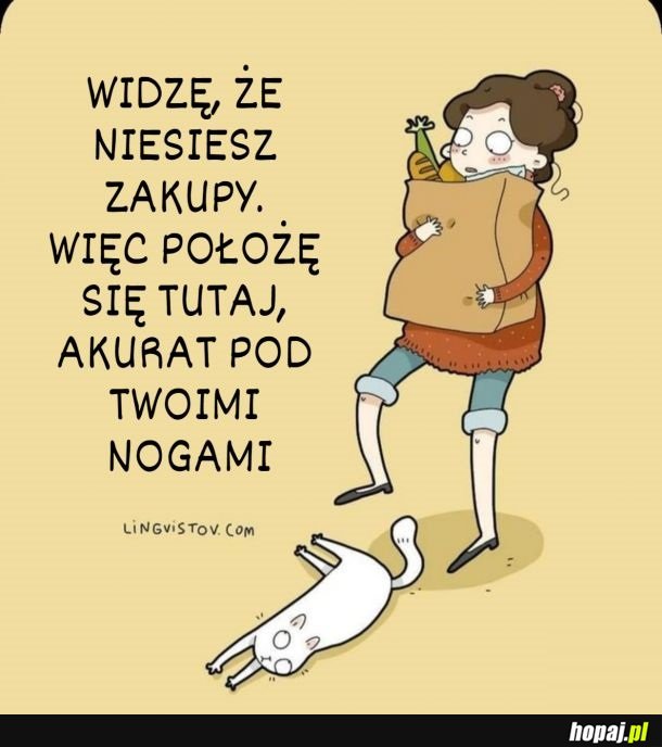 Ćwicz refleks, człowiek