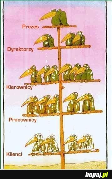 Hierarchia