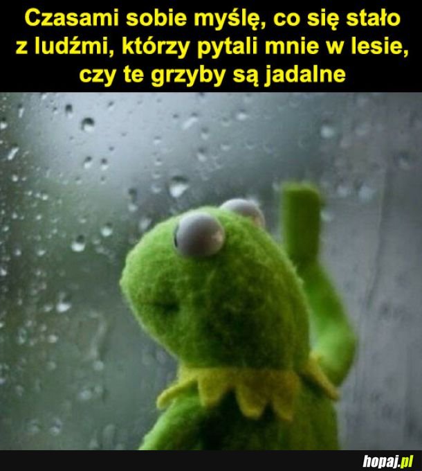 Ciekawe co z nimi