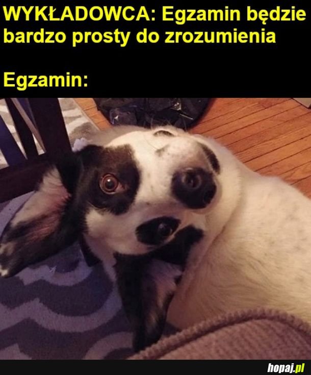 Tsaaa...