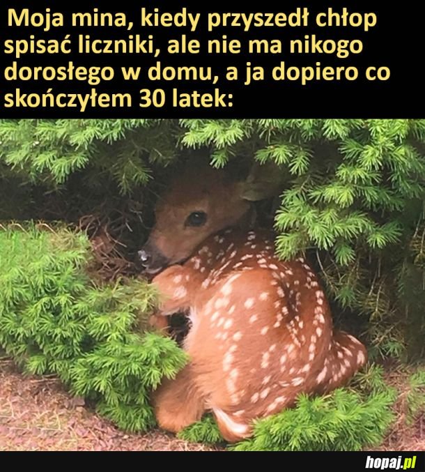 Proszę przyjść kiedy indziej, nikogo nie ma w domu.
