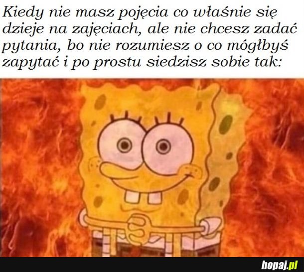 Czy wszystko rozumiecie? -Tak, tak proszę kontynuować prosze Pani