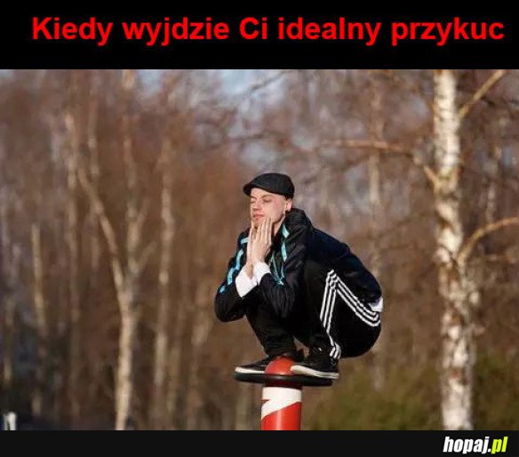 Idealny przykuc